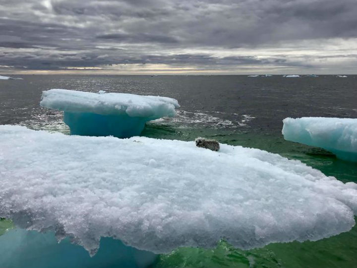 What These Fisherman Find On An Iceberg Will Amaze You - SoGoodly